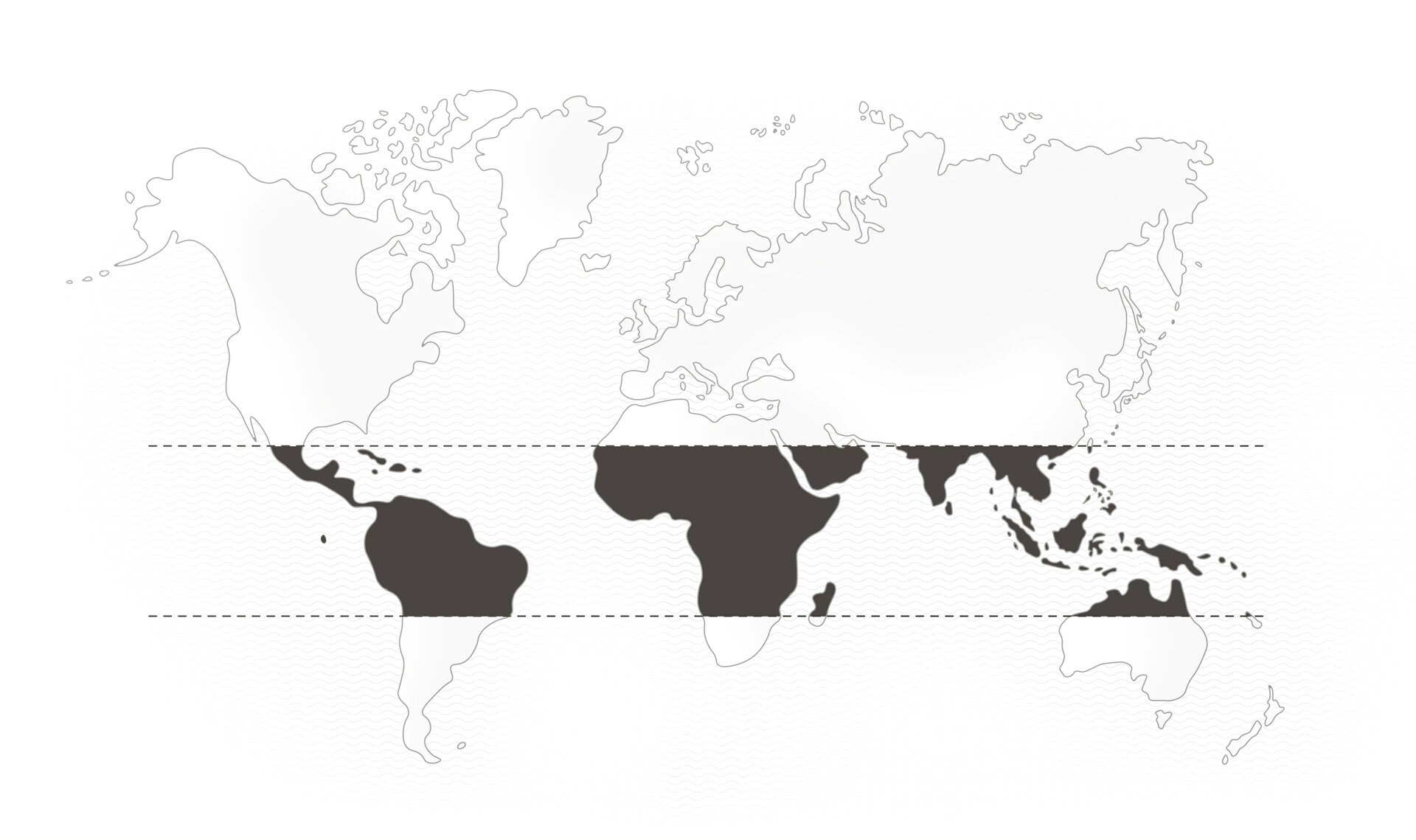 World map purple