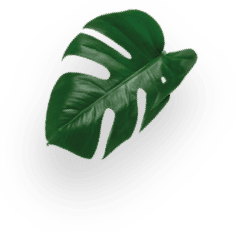 STARBUCKS&reg; CAPPUCCINO decoration Image